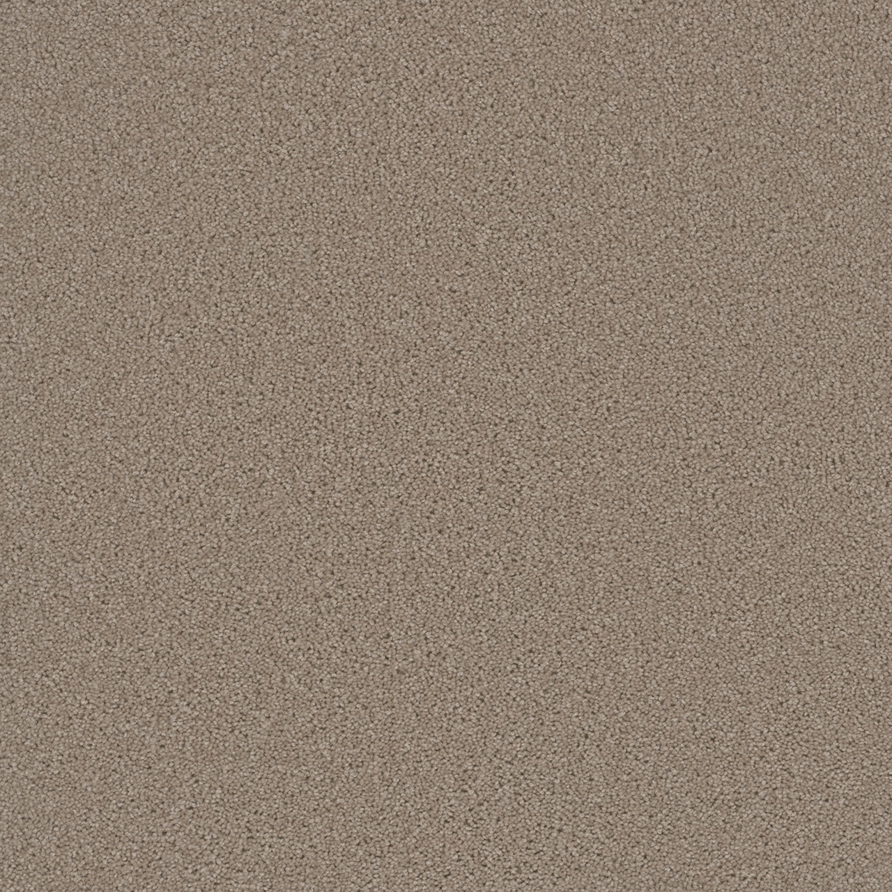 3125_535__79207