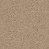 CAMEL_2