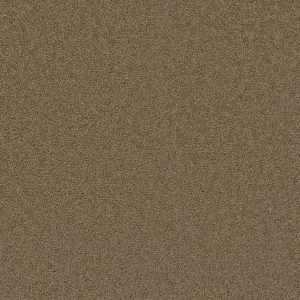 Honey Beige