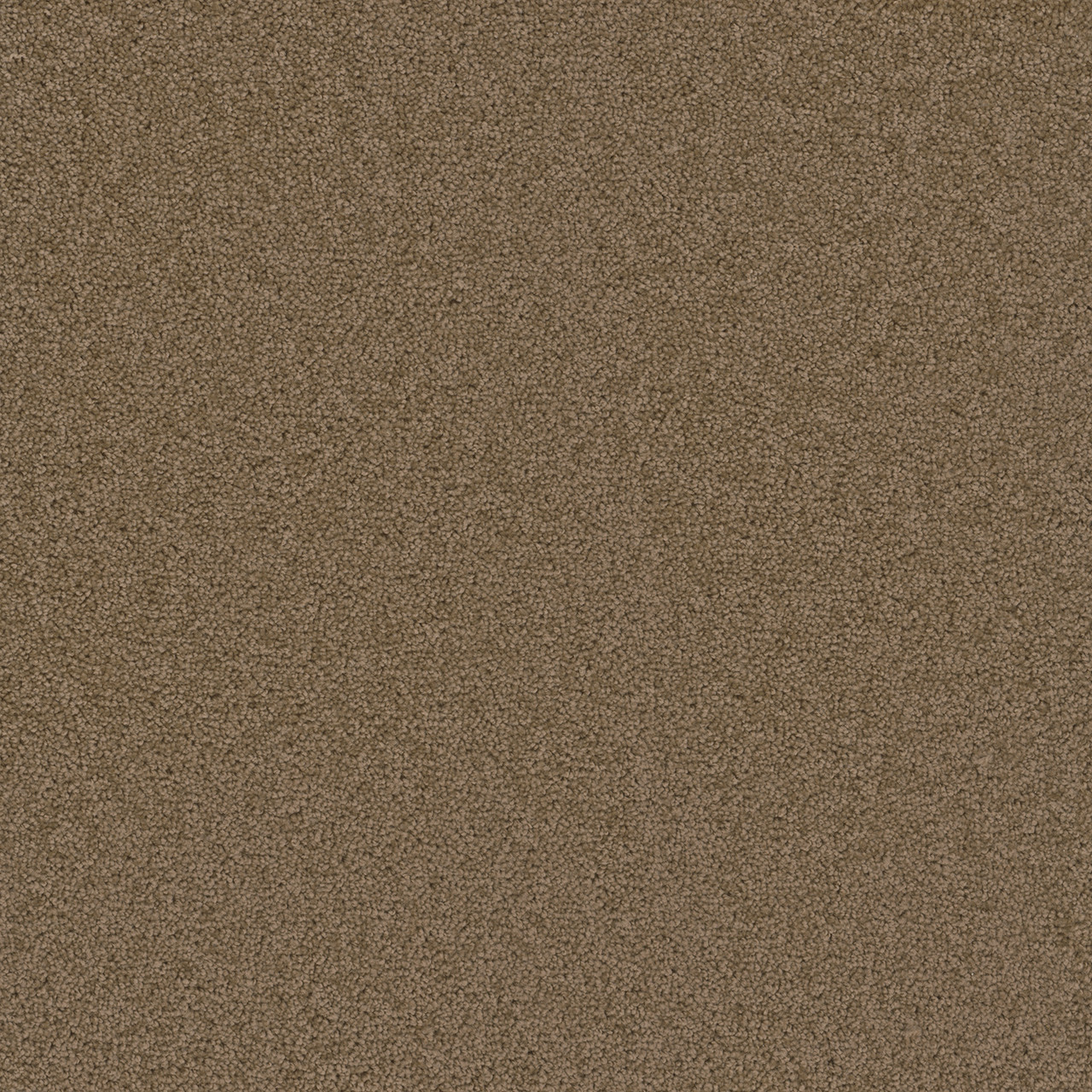 HoneyBeige
