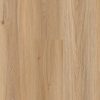 lich06_huntington_gardens__planks