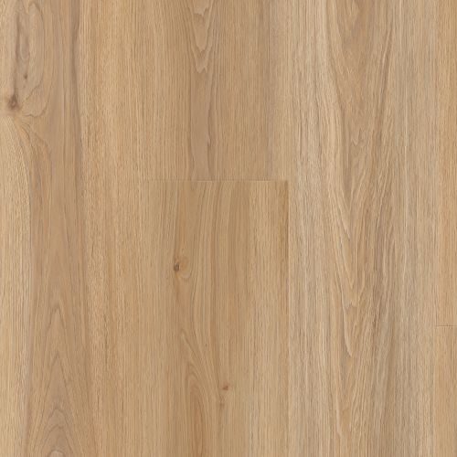lich06_huntington_gardens__planks